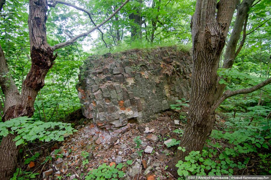 Черепки и воронки: «черные копатели» регулярно разграбляют руины кирхи в Корнево