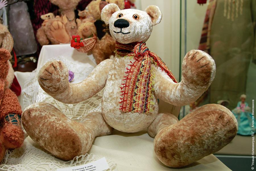 "Медвежонок Тедди и все-все-все": фоторепортаж "Нового Калининграда.Ru"