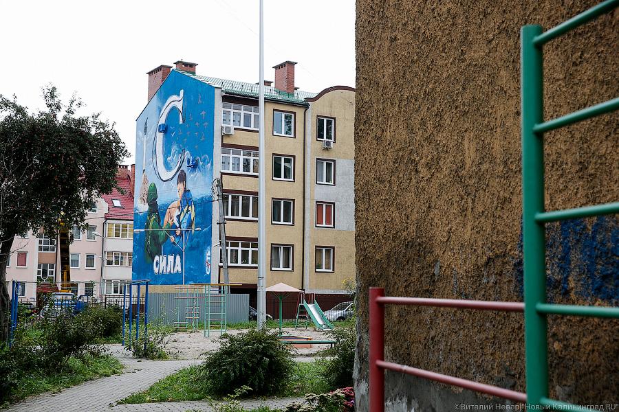 Вежливые люди и котик: судьба политического граффити о Крыме в Калининграде