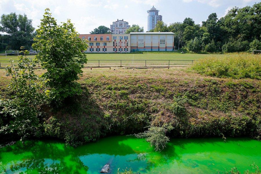 Страшный сон Тортиллы: почему вода в Ялтинском пруду стала ядовито-зеленой (фото)