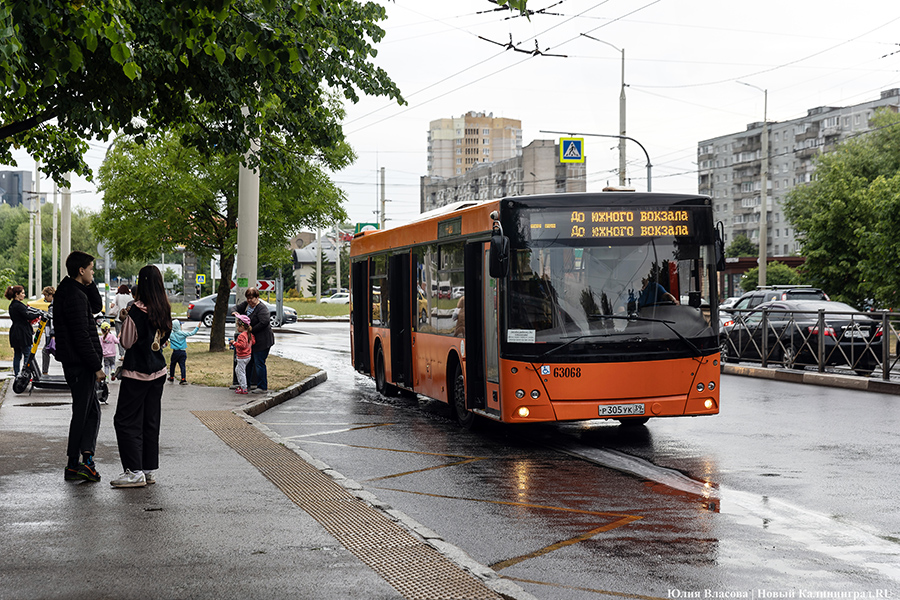 В Калининграде в 2024 году хотят ввести пересадочный тариф для общественного транспорта