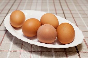 Долгов: дешёвое куриное яйцо есть на фабрике, но его покупают люди из «Газпрома»