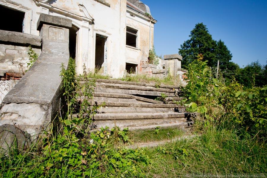 «Если не продадим, растащат»: усадьба поселка Лужки в проекте «Пустые дома»