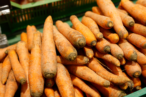Отрыв сметаны и «золотая» морковка: мониторинг цен на продукты в Калининграде