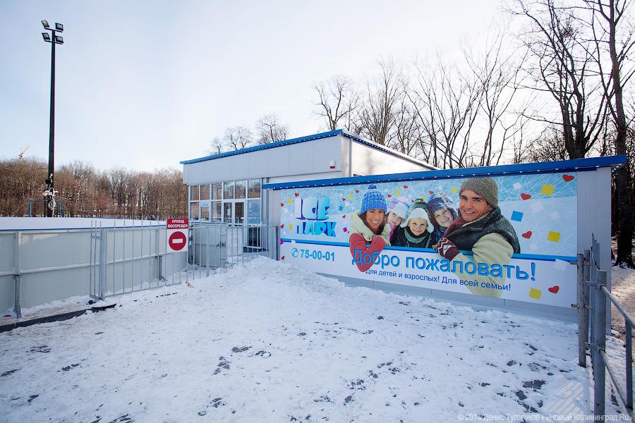 Выход на лёд: где в Калининграде можно покататься на коньках