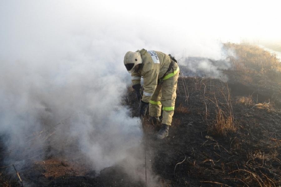 Причину смога под Калининградом ликвидируют 50 пожарных