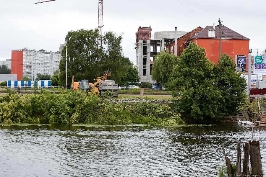 Для строительства набережной Карбышева разрешили вырубить 164 дерева (фото)