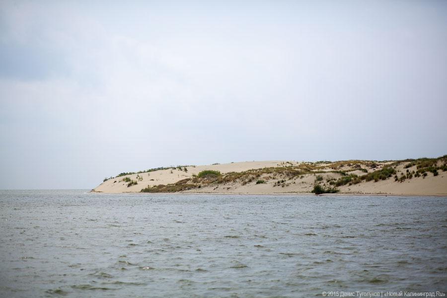 Дюны, мысы, птицы: как работает новый маршрут Куршской косы по воде