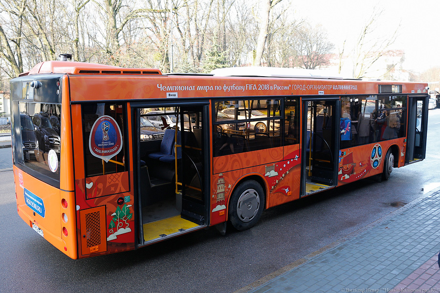Верхом на трёхглазой змее: на калининградские автобусы нанесли символику ЧМ