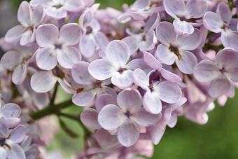 ���� flickr.com/aicompress