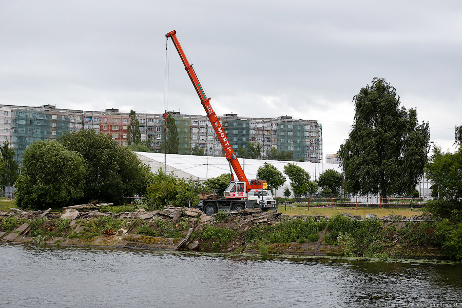 Для строительства набережной Карбышева разрешили вырубить 164 дерева (фото)