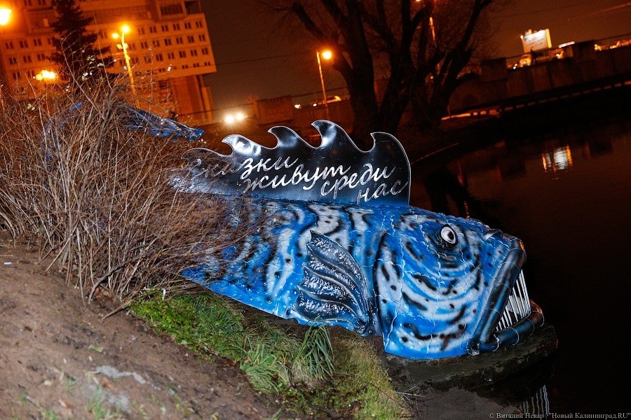 Главный архитектор Калининграда сравнил синюю рыбу с «Добрым Кантом»