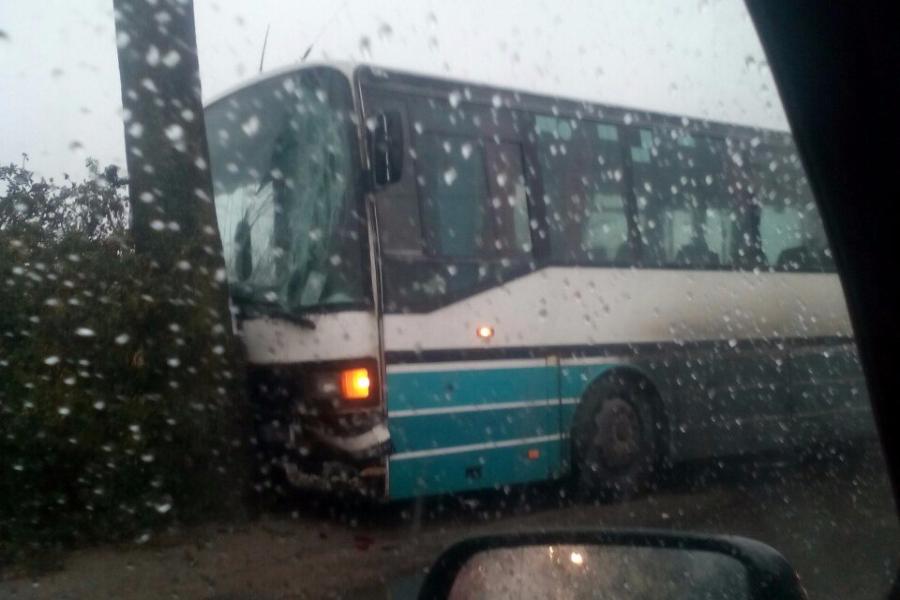 В поселке Малое Борисово пассажирский автобус врезался в дерево (фото)