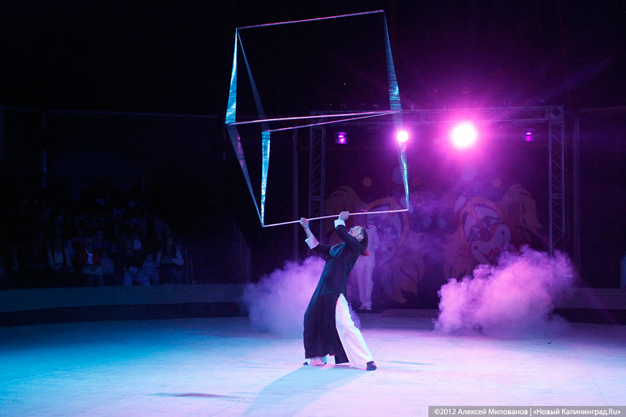 «Цирк в подарок»: фоторепортаж c премьеры цирковой программы