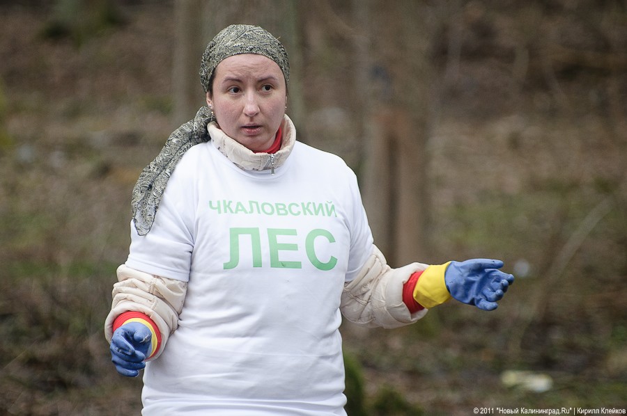 "Чистый лес: 115 на 40": фоторепортаж "Нового Калининграда.Ru" 