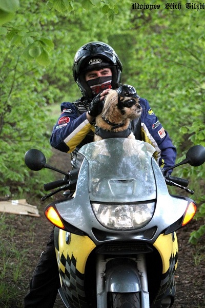 Угонщики оставили единственную в области собаку-байкера без мотоцикла (фото)