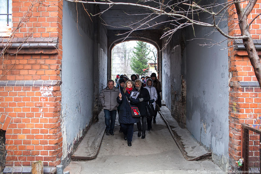 Кёнигсберг в Калининграде: как проходят «народные» экскурсии по улицам города