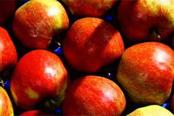 Россельхознадзор: ограничение на поставку фруктов из Польши не было спонтанным