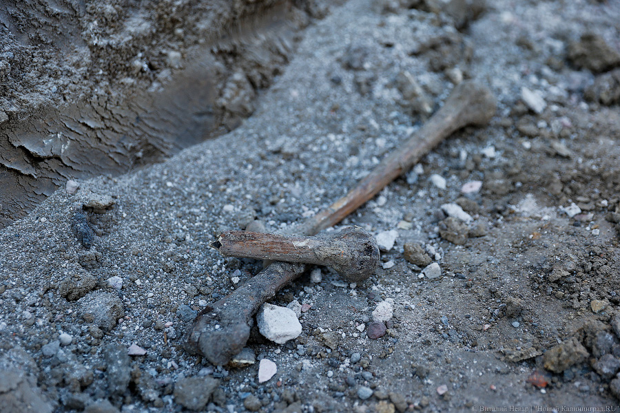 Ремонт на могиле: обнажившиеся останки на 9 Апреля спешат закатать в асфальт