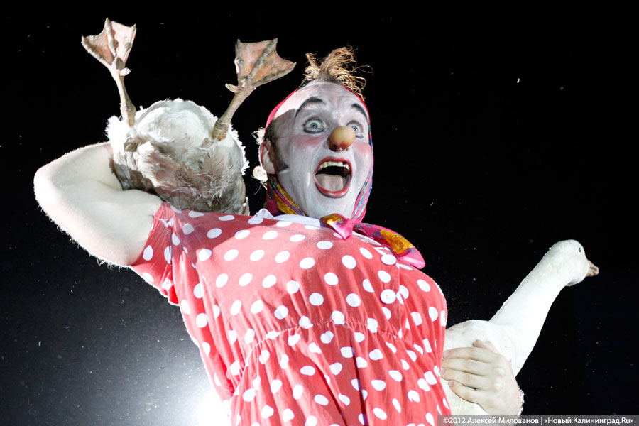 «Цирк в подарок»: фоторепортаж c премьеры цирковой программы