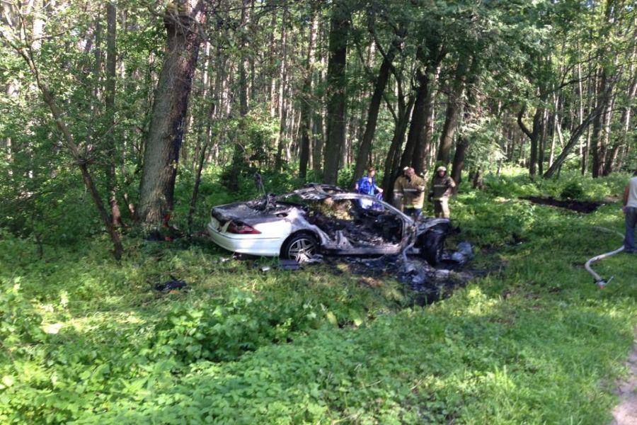 На Куршской косе «Мерседес» врезался в дерево, водитель погиб (фото)