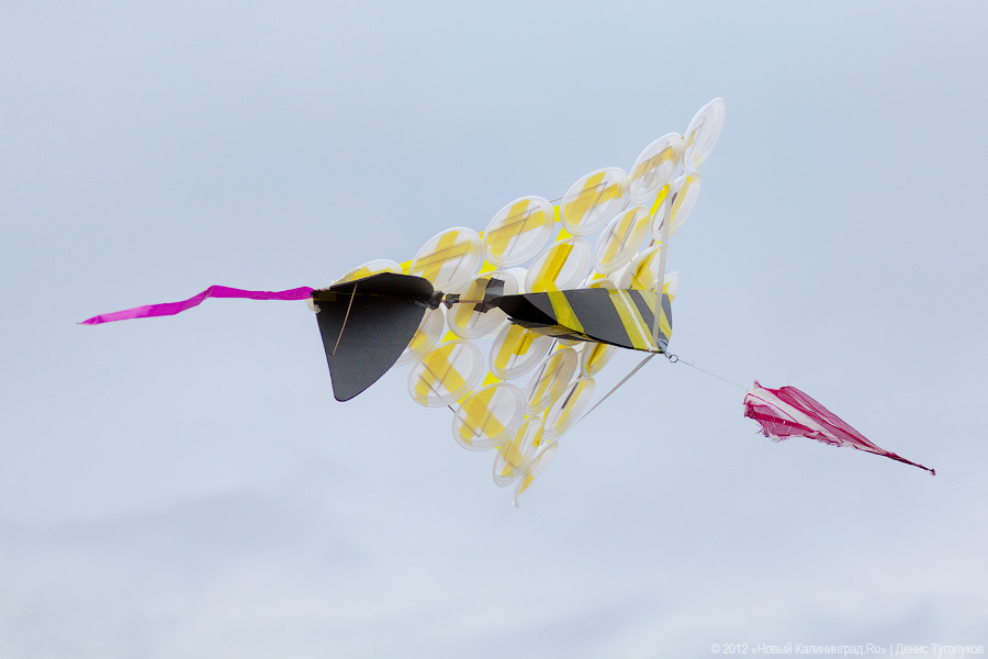 «Укротители кайтов»: фоторепортаж с фестиваля воздушных змеев