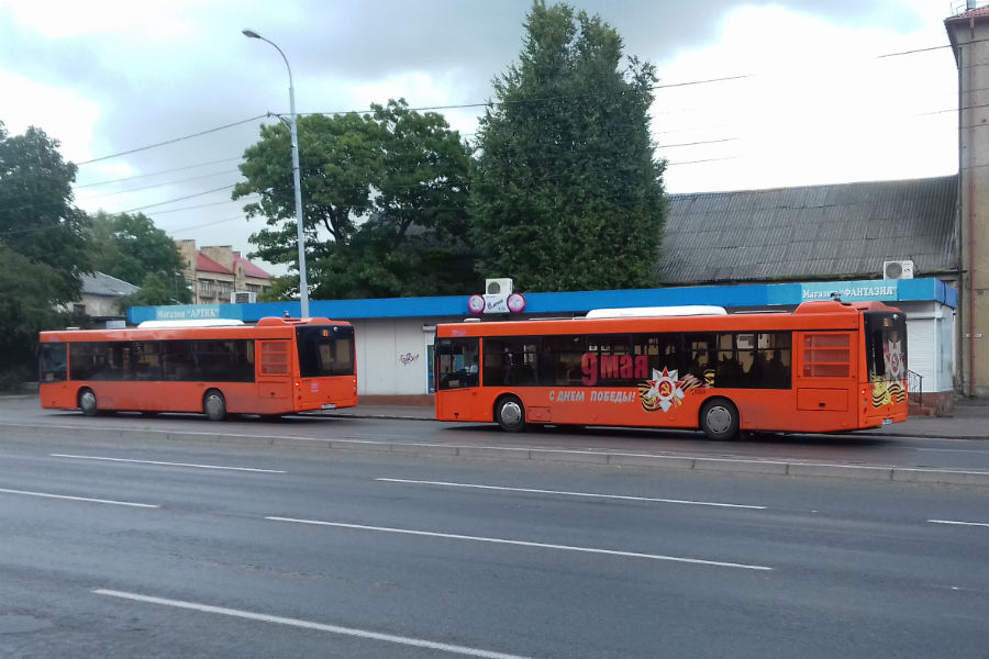 Автобусы.jpg