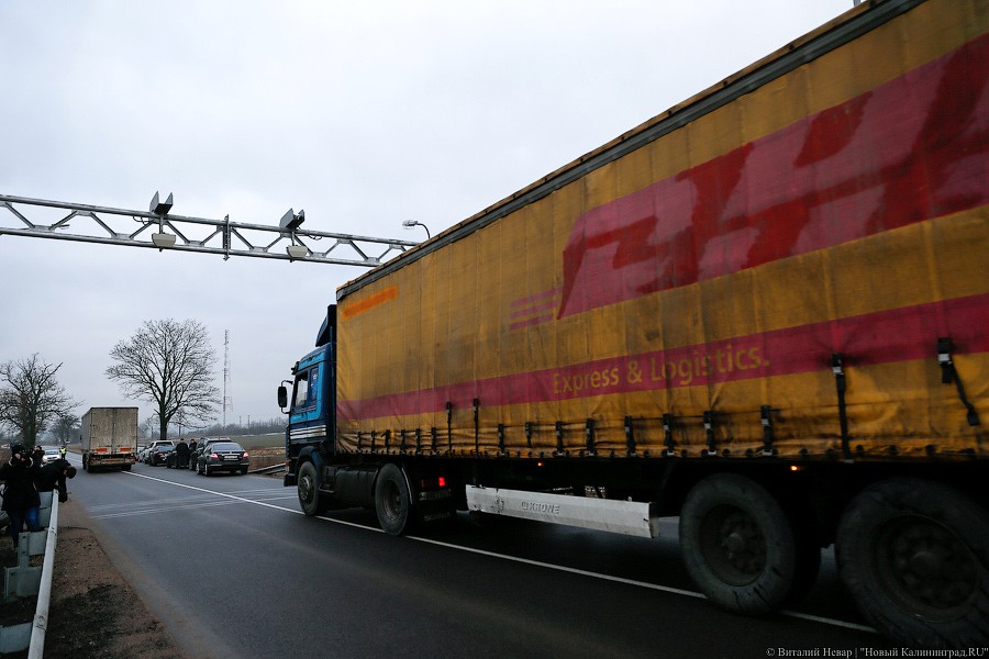 _NEV7411.jpg _NEV7411.jpg