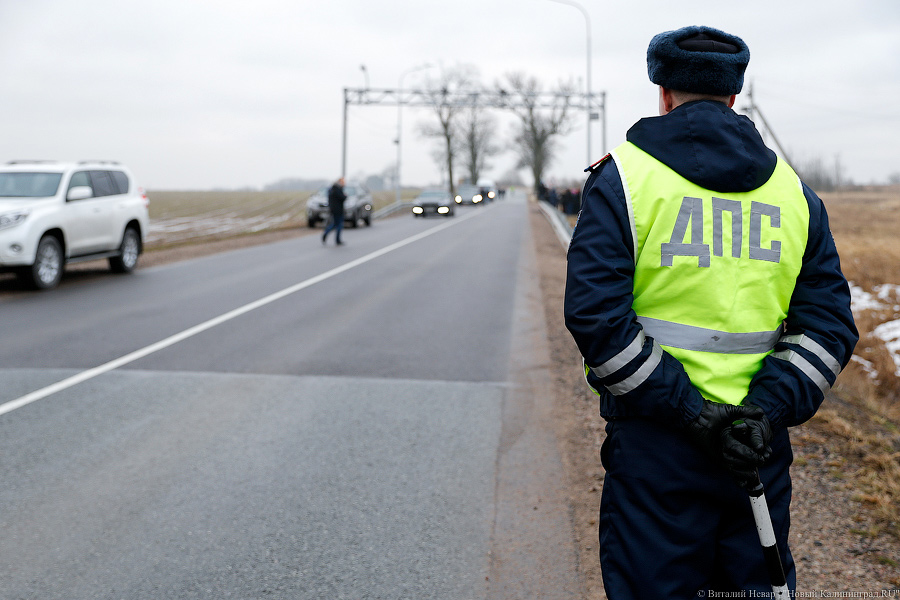 _NEV7421.jpg _NEV7421.jpg