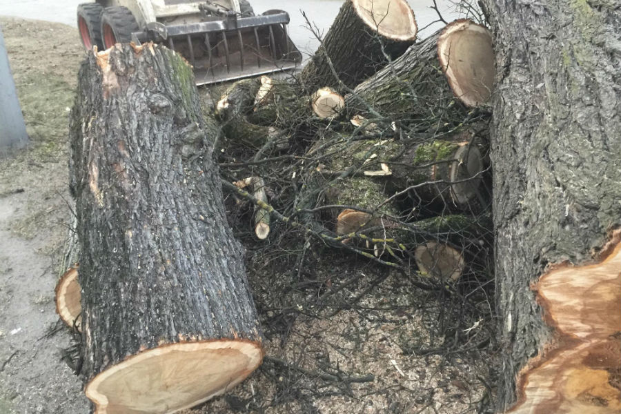 26235672_10213189862515016_385278051_o.jpg 26235672_10213189862515016_385278051_o.jpg