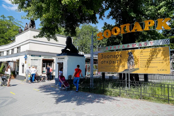 В Калининградский зоопарк из Москвы переехали лемуры Сара и Джулиан (видео)