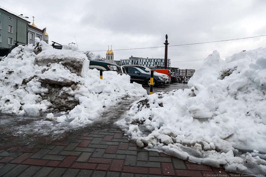 Депутаты калининграда. Сегодня калининград новые. Клопс калининград происшествие. Гвардейск площадь калининград. Сегодня калининград новые.