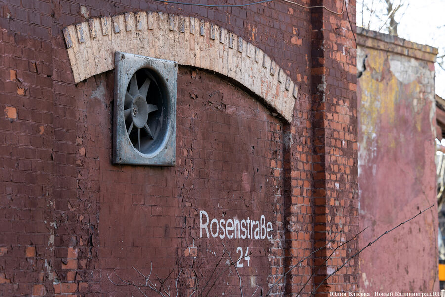 След Розенау: как выглядит заброшенный мясокомбинат на Аллее Смелых ...