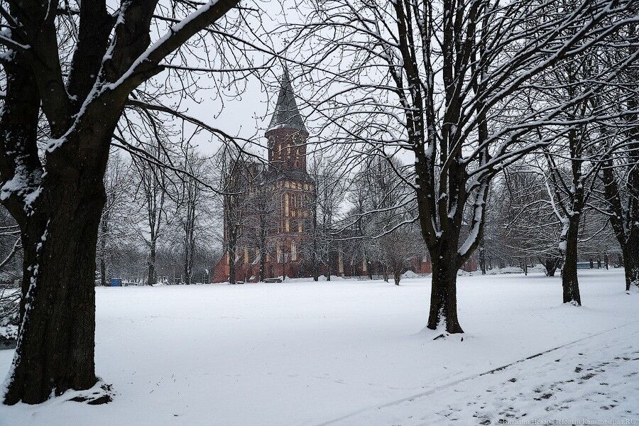Калининградская область в марте. Калининград март. Набережная светлогорска сейчас. Весенний калининград. Калининград в апреле.