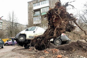 19 февраля: последствия ночного шторма в Калининграде