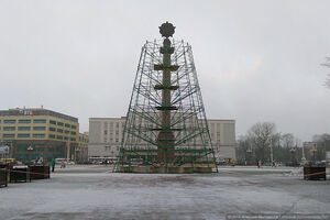 2 декабря: монтаж новогодней ёлки на площади Победы в Калининграде
