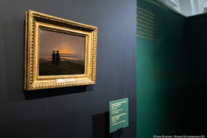 «Созерцая созерцание»: в Музее изобразительных искусств начались Дни Эрмитажа