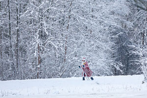 18 декабря: Дед Мороз на лыжной гонке в Калининграде