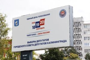 Найди кандидата: кто баллотируется в Горсовет Калининграда по округам № 1-15