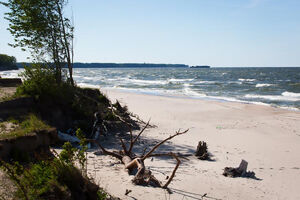 Проект для путепровода в Сокольниках разрабатывают по заказу компании Качановича