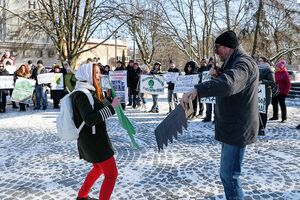 25 февраля: в Калининграде прошел очередной экологический митинг против вырубки