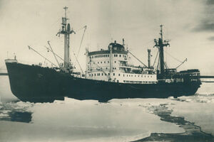 «К берегам Антарктиды»: Музей Мирового океана открывает новую выставку (фото)