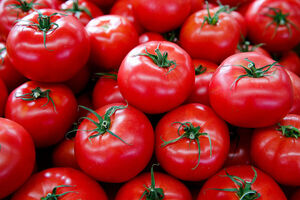 Восхождение помидоров: как изменились цены на продукты в Калининграде за месяц