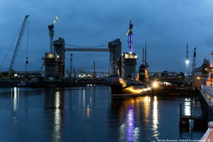 Музей Мирового океана хочет открыть филиал в Антарктиде