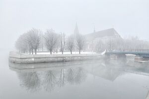 28 ноября: туман в Калининграде