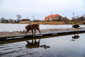 14 января: понтонный мост в поселке Мысовка