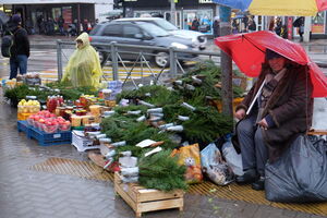 26 декабря: новогодняя торговля в Калининграде