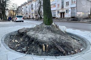 12 февраля: в ходе благоустройства ул. П. Морозова обрубают корни деревьев