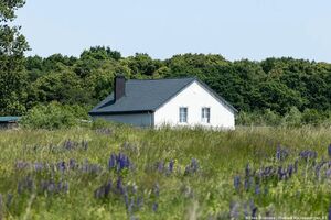 «Медленно отжимают участки»: садоводы приморских СНТ опасаются за будущее