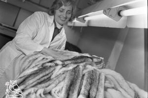 Пушнина «для своих» и «консервный взрыв»: о чём писали газеты 35 лет назад